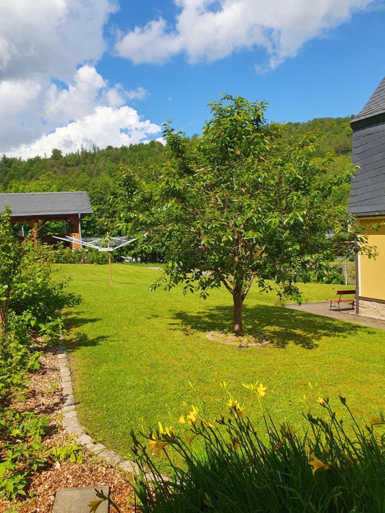 Ferienwohnung Haenel Antonshohe Exterior photo
